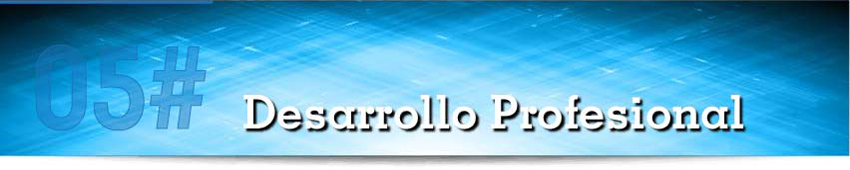 Desarrollo Profesional