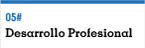 Desarrollo Profesional
